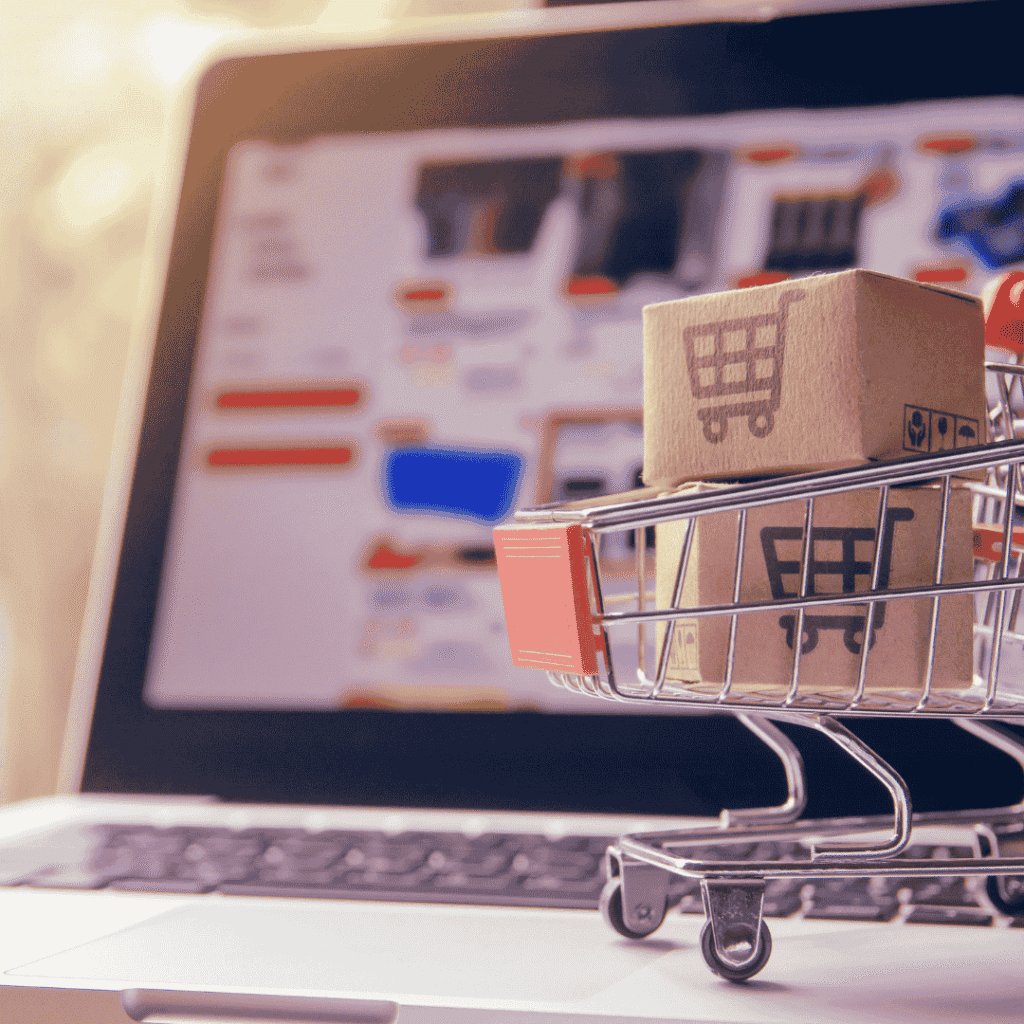 Ecommerce SEO services in Mathura
